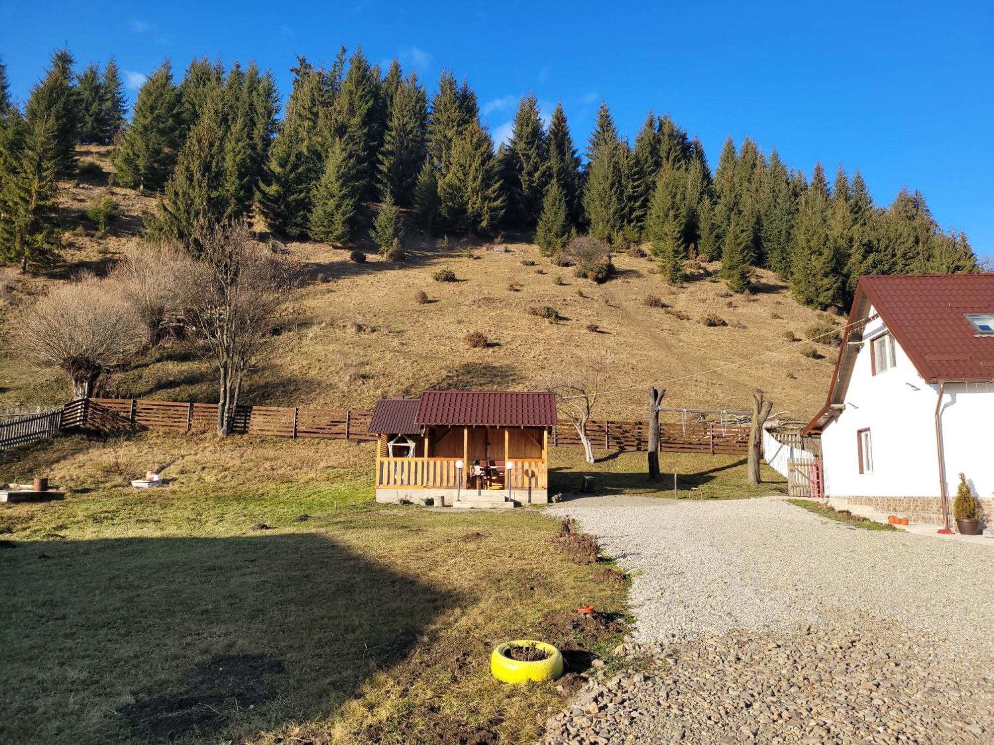 Villa Casa Abp Vatra Dornei Exterior foto